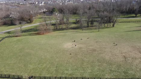 Eine-LKW-Pfanne-Eines-Kleinen-Hundeparks-Mit-Ein-Paar-Herumlaufenden-Hunden,-Aufgenommen-Auf-Drohne-4k-Im-Jacobson-Park-Lexington-Kentucky