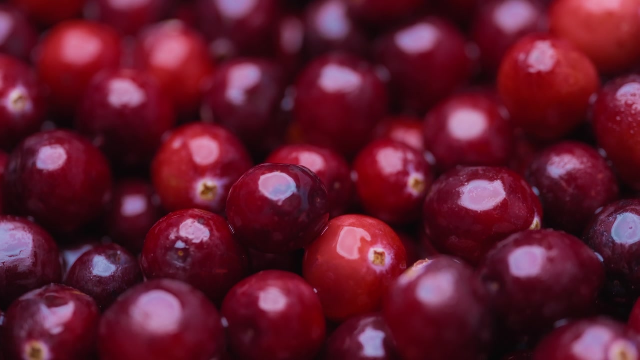 Makroaufnahme von roten Cranberries mit Wassertropfen