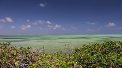 las salinas rosadas y verdes y los lagos de bonaire