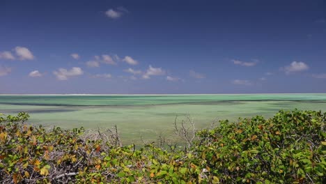 the pink and green salt pans and lakes of bonaire