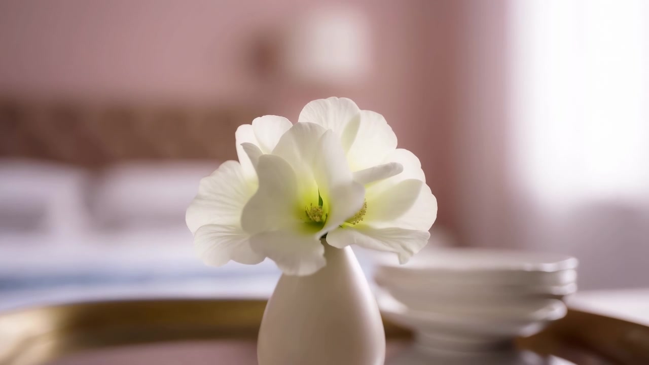 Time-lapse av en hvit blomst i blomstring, i et innendørs miljø, muligens et baderom eller spa, med en hvit vase, et gyllent brett, med keramikk- og metalltekstur, fra et statisk nærbildeperspektiv med klare detaljer.