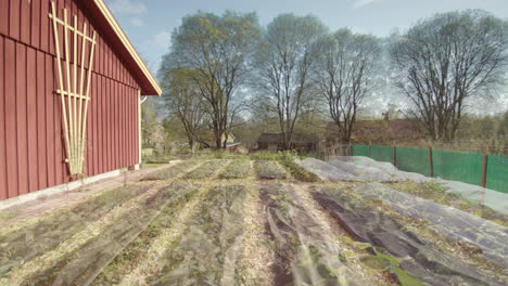 Garten-Gemüsebeet,-Langzeit-Zeitraffer-Übergang-Vom-Winter-Zum-Sommer