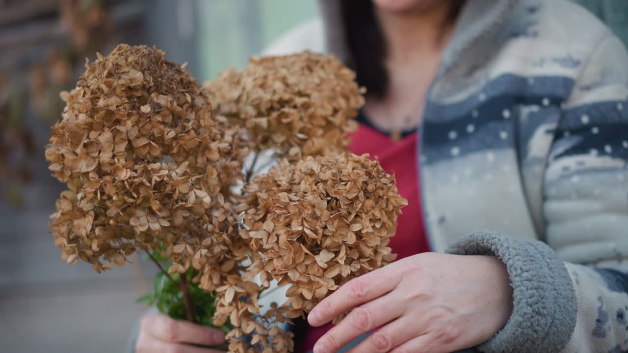 Woman holding dried hydrangea bouquet closeup. Hands adjust stems near chest, patterned sweater visible, muted warm palette, urban stoop backdrop, florist prepping seasonal arrangement with careful