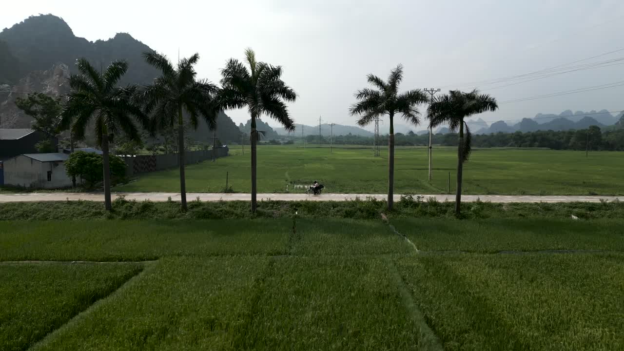 Rural Vietnamese Landscape with Rice Paddies and Motorbike