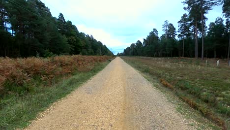 Enthüllung-Einer-Langen-Schotterstraße-In-Den-Wald