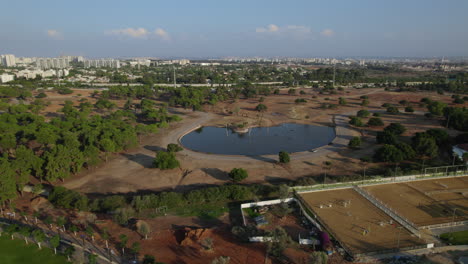 Hippos-are-relaxing-and-eating-in-a-pond-in-the-afternoon-above-Ramat-Gan-Safari-when-it-is-empty-of-visitors