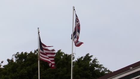 flags of hawaii and usa