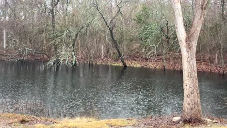 Light-rain-on-a-pond-surrounded-by-trees-in-Autumn