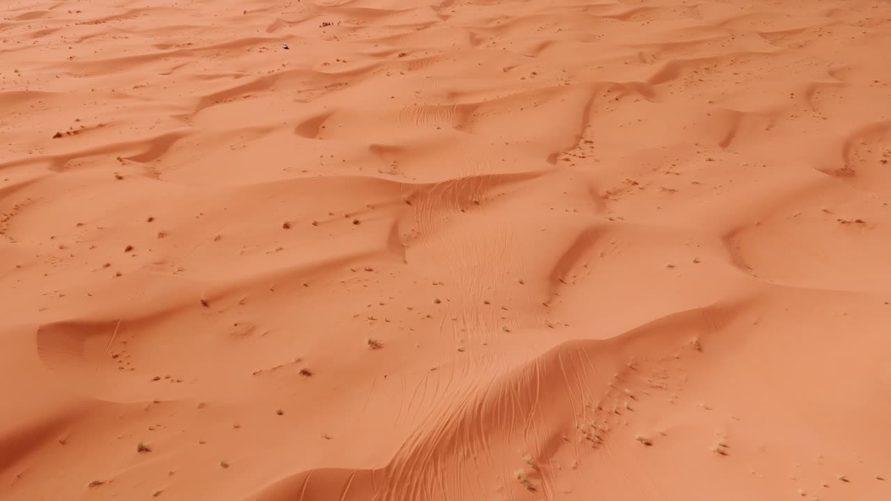 Reveal drone shot over big sandy dunes in morocco desert wth bushes and traces