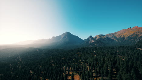 rocky mountain range with trees