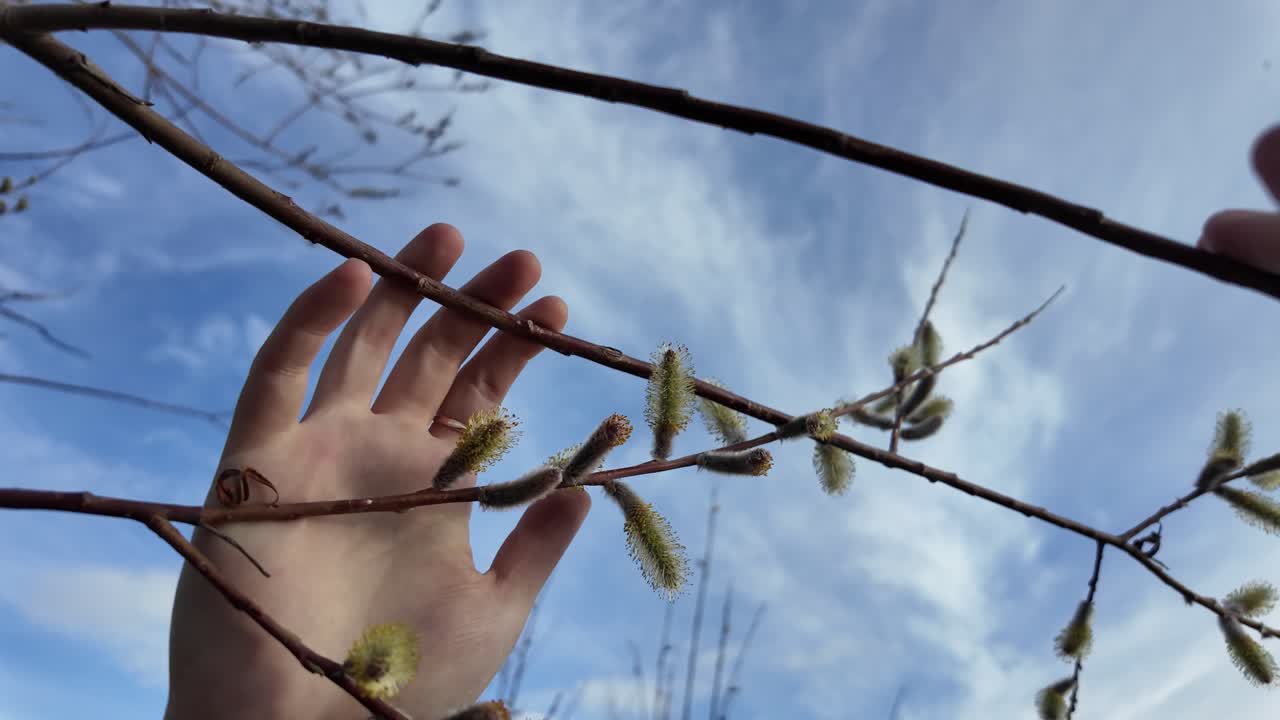 손이 위로 어져, 위에 있는 나무 가지를 잡고 있다