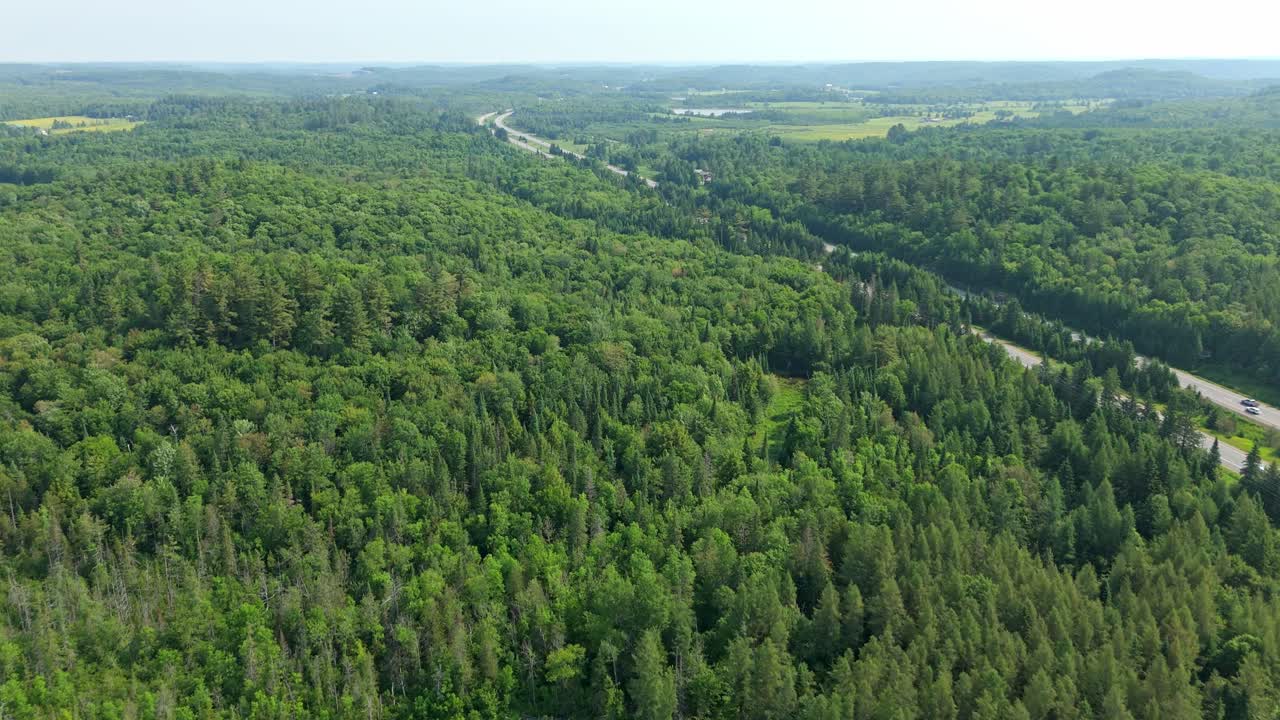Aerial Flyover Of A Lush Forest Landscape Next To A Highway In Muskoka, Ontario, Canada