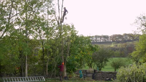 Cirujano-De-árboles-Trabajando-En-Las-Copas-De-Los-árboles