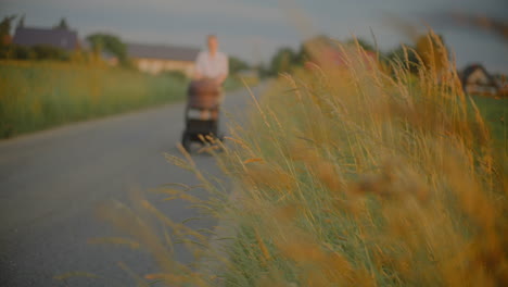 woman walking with stroller in summer blur