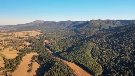 El-Campo-De-Sudáfrica,-Con-Plantaciones-Forestales-De-Eucalipto-Azul,-Tierras-De-Cultivo-Y-Exuberante-Vegetación-Al-Borde-De-Una-Ladera-Montañosa.