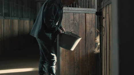 farmer feeding goats in a stable
