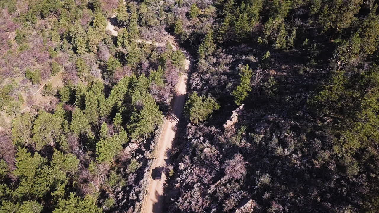 Um veículo SUV escuro dirige lentamente em direção a uma curva fechada em uma estrada florestal de montanha, rodeado por pinheiros mortos.