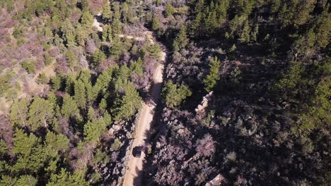 Dark-SUV-vehicle-drives-slowly-towards-a-sharp-curve-in-a-mountain-fire-road-surrounded-by-dead-pine-trees