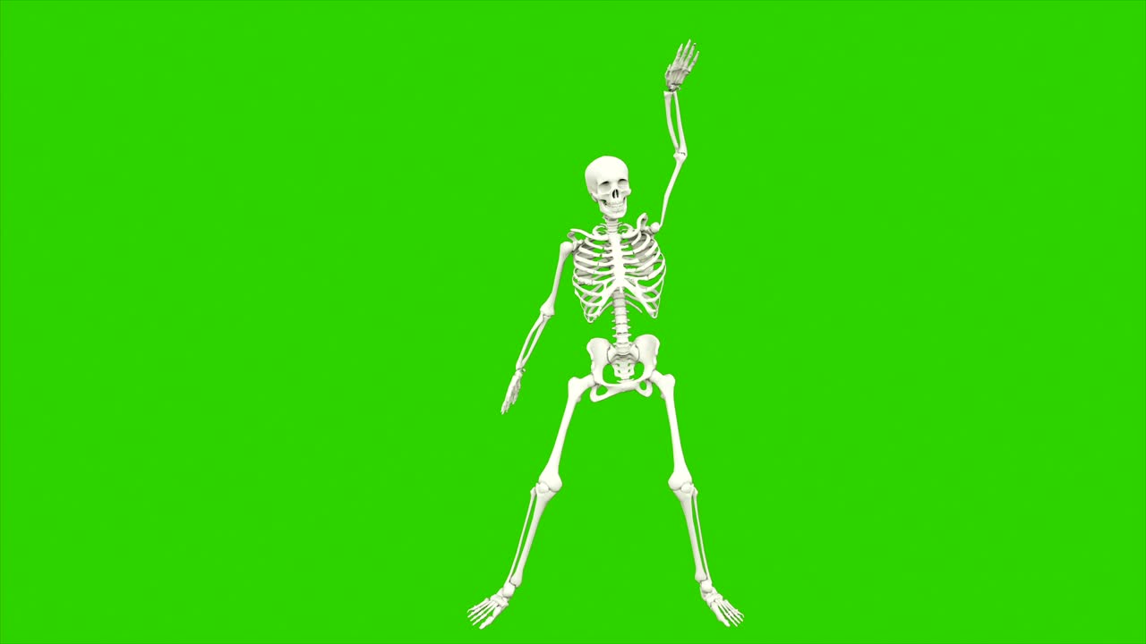 danza dello scheletro. animazione a loop senza soluzione di continuità sullo schermo verde.