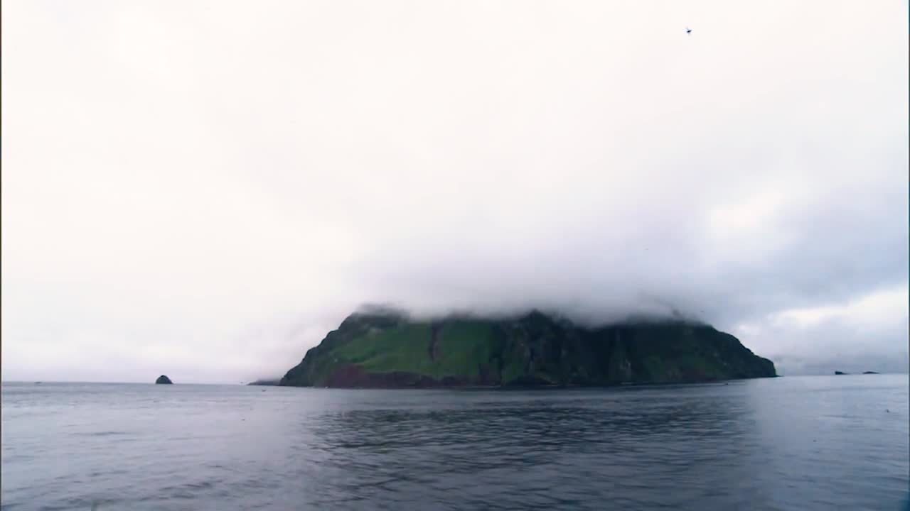 알바트로스와 풀마가 알류샨 열도 외부에 바다 상륙을 위해 날아오는 모습이 보입니다.