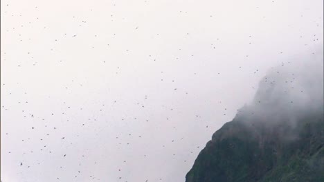 Albatrosses-And-Fulmars-Are-Seen-Flying-In-For-Ocean-Landings-Outside-The-Aleutian-Islands