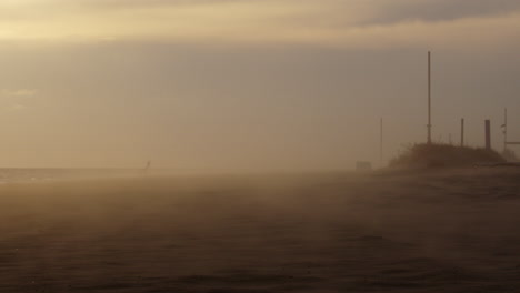 deserted beach on a windy sunset