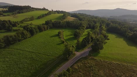 Nuestra-Colección-De-Material-De-Archivo-De-Naturaleza,-Bosque,-Madera-Y-Verde-Es-La-Manera-Perfecta-De-Incorporar-La-Belleza-Y-La-Tranquilidad-De-La-Naturaleza-A-Sus-Proyectos-De-Video.