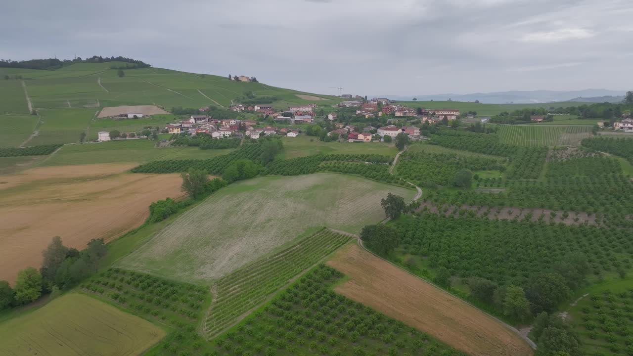 이탈리아 에서 해가 지는 동안 포도 ⁇  위 를 날아다니는 것