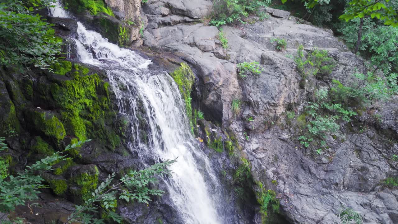 una cascada que fluye en la selva tropical.