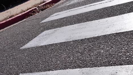 Clip-of-the-tail-end-of-a-surprisingly-long-crosswalk-shot-in-a-creepy-sort-of-way