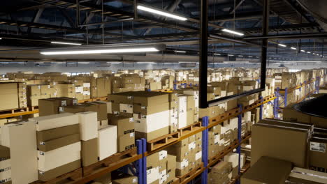 Huge-storage-facility-having-wholesale-packages-in-boxes