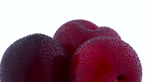 close-up opname van het bovenste deel van drie grote paarse maynard pruimen met waterdruppels. langzaam draaien op de draaitafel geïsoleerd op de witte achtergrond. macro.