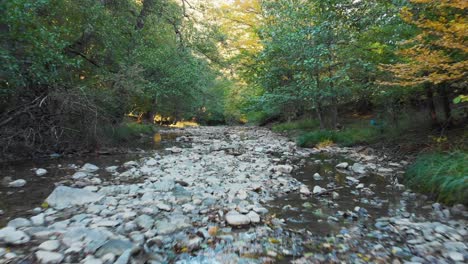 Niedriger-Drohnenflug-über-Kleinen-Fluss-1