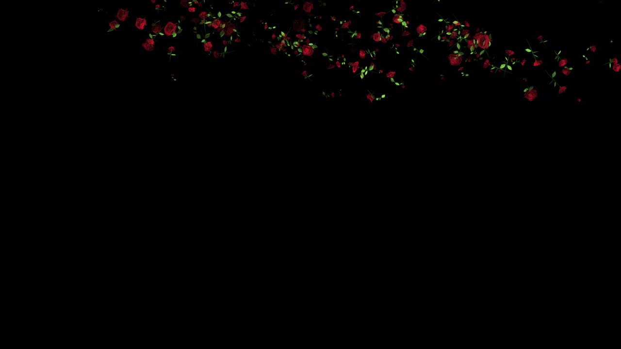 장미 꽃 입자 애니메이션 배경