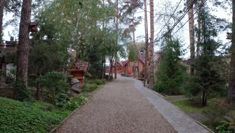 rustic village pathway