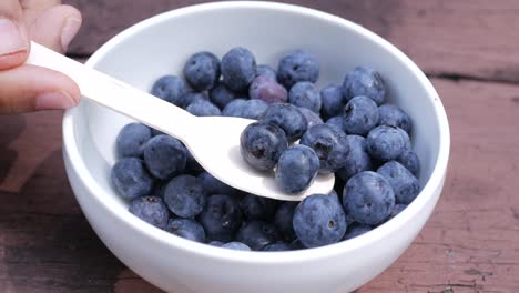 spoon pick blue berry fruit ,