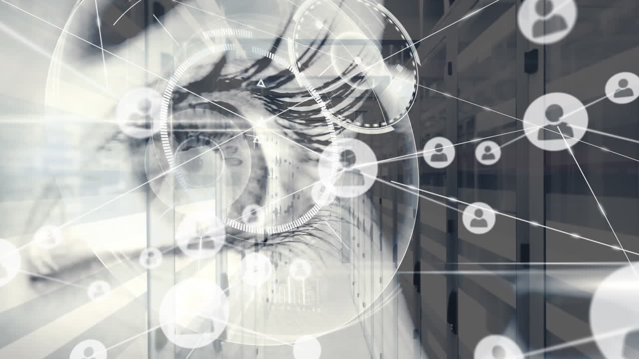 연결 네트워크의 애니메이션과 서버 객실에 대한 눈