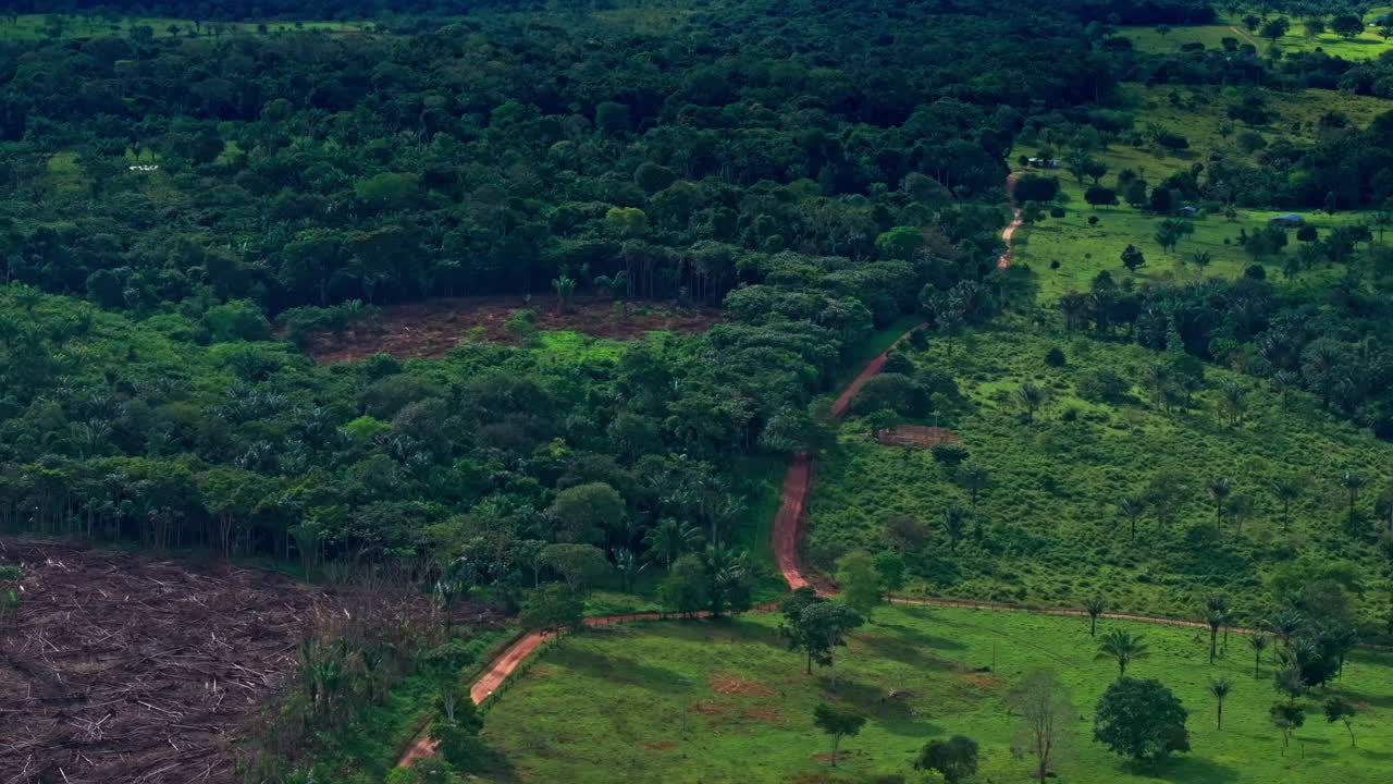 Drone shot of the Colombian Amazon captures dense rainforest, endless treetops, and the vibrant natural environment of this remote tropical region