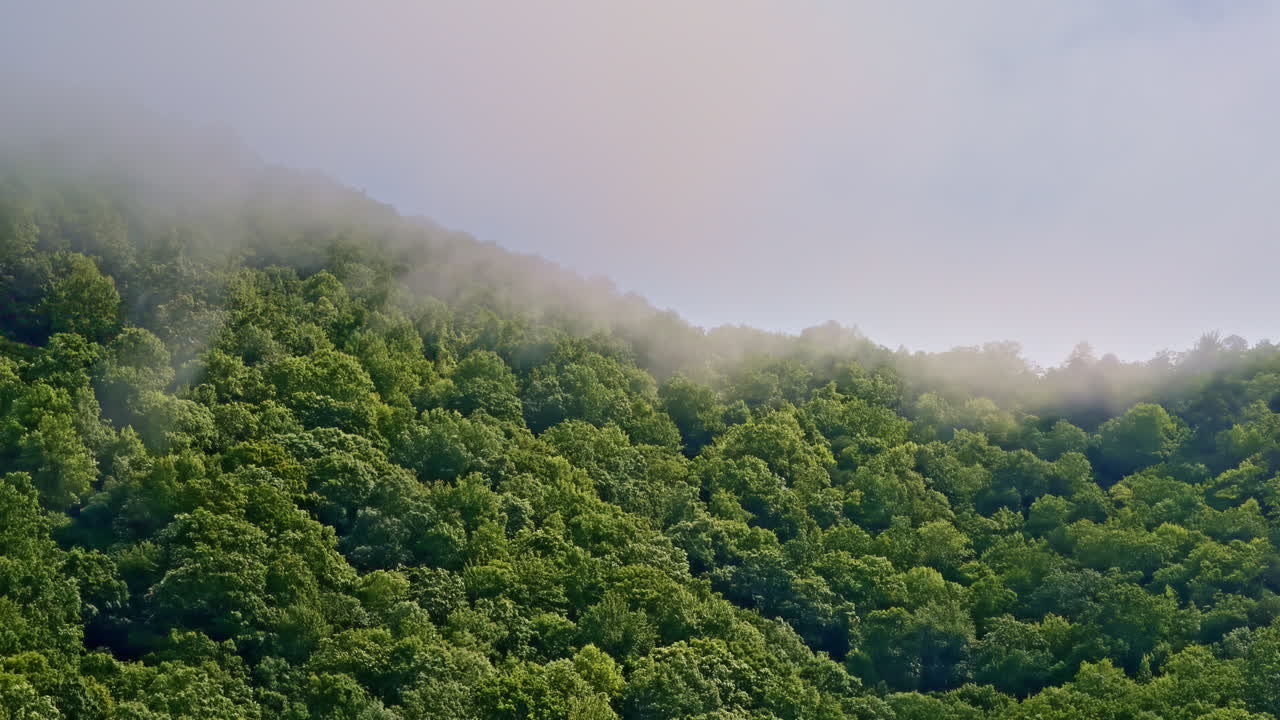 Atmospheric drone footage of clouds hugging mountain tops