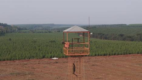 drone view of a forest guard tower in a reforestation area.