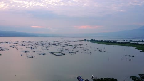 Vista-Aérea-De-Varias-Jaulas-De-Peces-Flotantes-En-La-Superficie-Del-Lago-Rawa-Pening-Al-Amanecer,-Indonesia