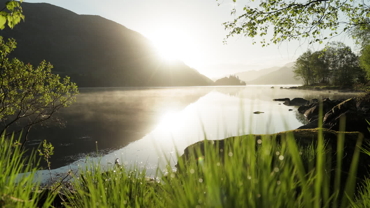 Flat fog drifts across a lake in Norway in the morning. The sun is reflected in detail in the water and dewdrops on the grass. The water surface barely moves due to the still water