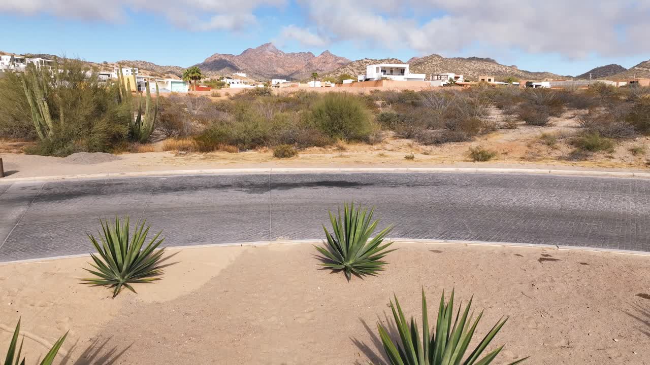 Video aereo di una rotonda con piante di agave del deserto.