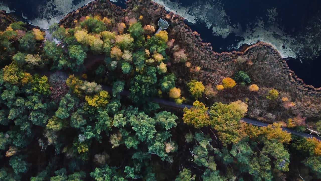 A top-down satellite drone view of the lakes edge of Kalmthoutse Heide of Antwerp Belgium