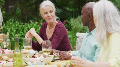 animation of diverse happy senior female and male friends eating lunch in garden