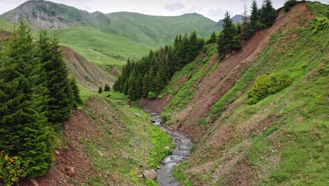 Fliegen-über-Einer-Kleinen-Schlucht-Mit-Fluss-In-Den-Bergen