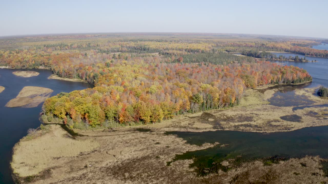 río au sable en michigan durante los colores del otoño con video de dron avanzando plano medio
