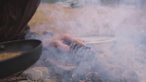 close-up of hands adding pine cone to make fire outdoor, blowing on wood