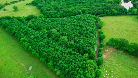 imágenes de drones aéreos de un paisaje verde francés desde arriba