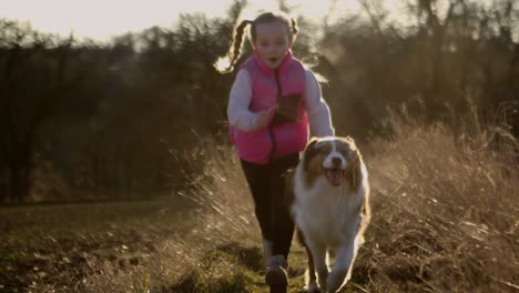 a little blonde girl with braids running with an australian shepherd through a sunny meadow